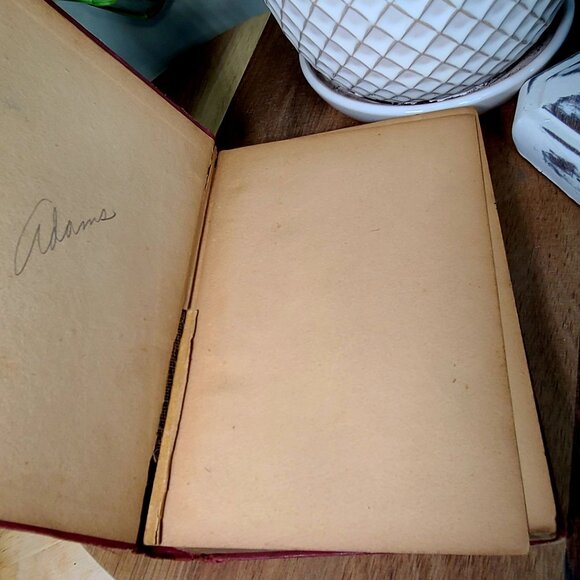 Set of 3 James Fenimore Cooper Hard Cover Novels, The Red Rover, The Spy, The Tw - Picture 7 of 9